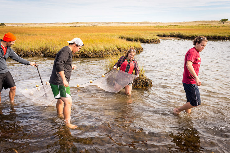 Colby-Sawyer students collecting samples in tidal estuary during Aquatic Communities field studies class