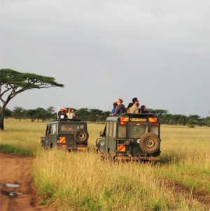 Land Rovers crossing African landscape